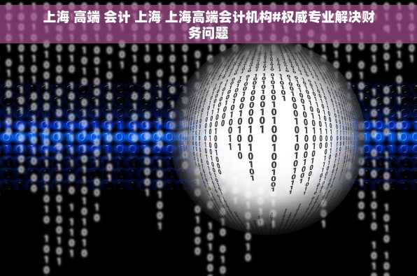 上海 高端 会计 上海 上海高端会计机构#权威专业解决财务问题