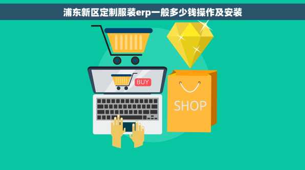 浦东新区定制服装erp一般多少钱操作及安装