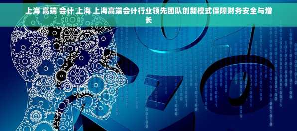上海 高端 会计 上海 上海高端会计行业领先团队创新模式保障财务安全与增长