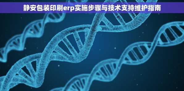 静安包装印刷erp实施步骤与技术支持维护指南
