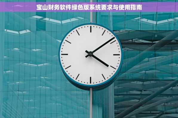宝山财务软件绿色版系统要求与使用指南