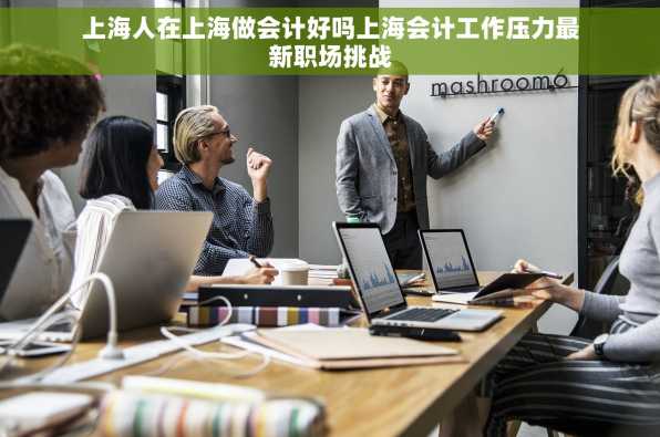 上海人在上海做会计好吗上海会计工作压力最新职场挑战