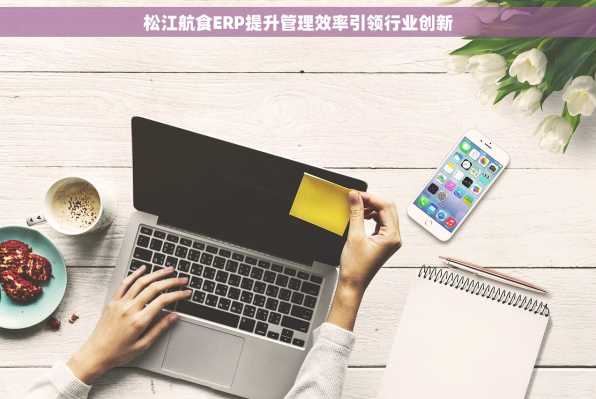 松江航食ERP提升管理效率引领行业创新