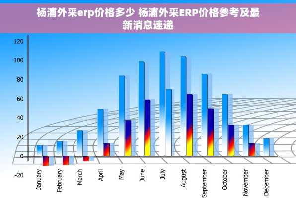 杨浦外采erp价格多少 杨浦外采ERP价格参考及最新消息速递