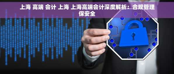 上海 高端 会计 上海 上海高端会计深度解析：合规管理保安全