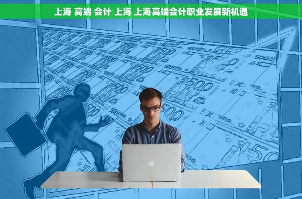 上海 高端 会计 上海 上海高端会计职业发展新机遇