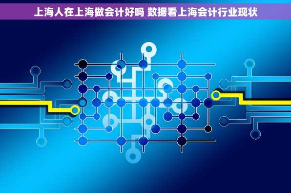 上海人在上海做会计好吗 数据看上海会计行业现状