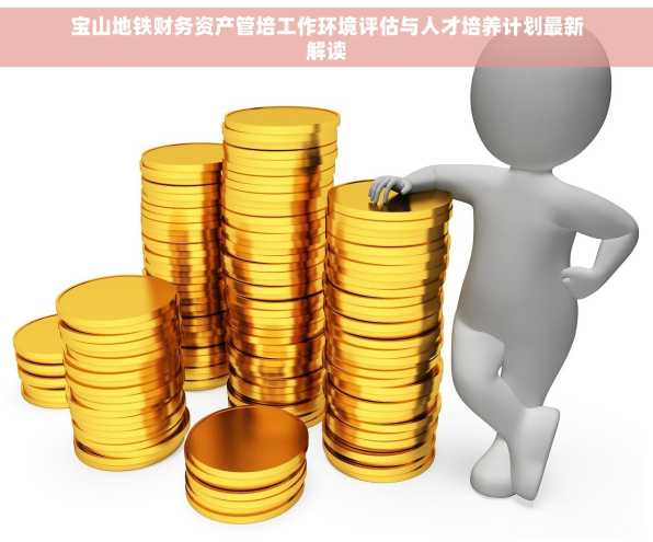 宝山地铁财务资产管培工作环境评估与人才培养计划最新解读
