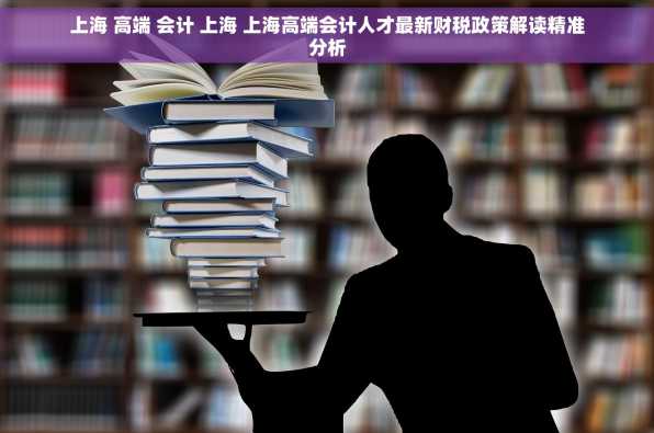 上海 高端 会计 上海 上海高端会计人才最新财税政策解读精准分析