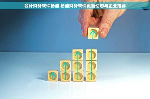 会计财务软件杨浦 杨浦财务软件更新动态与企业推荐