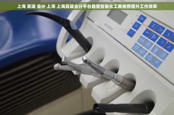 上海 高端 会计 上海 上海高端会计平台最新智能化工具推荐提升工作效率