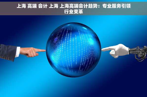上海 高端 会计 上海 上海高端会计趋势：专业服务引领行业变革