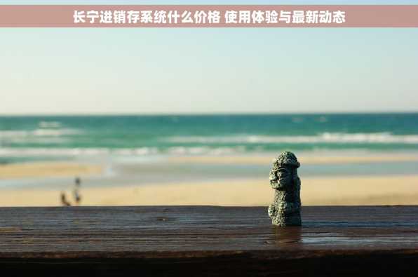 长宁进销存系统什么价格 使用体验与最新动态