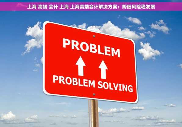 上海 高端 会计 上海 上海高端会计解决方案：降低风险稳发展