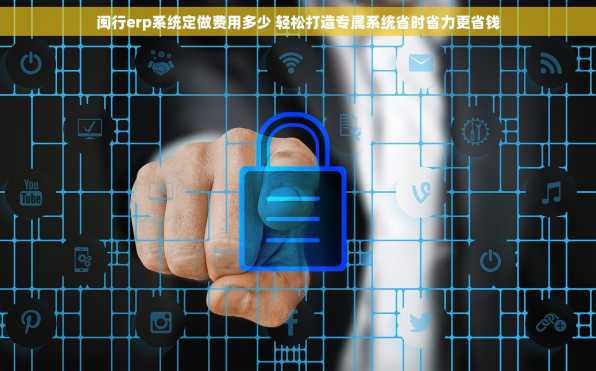 闽行erp系统定做费用多少 轻松打造专属系统省时省力更省钱