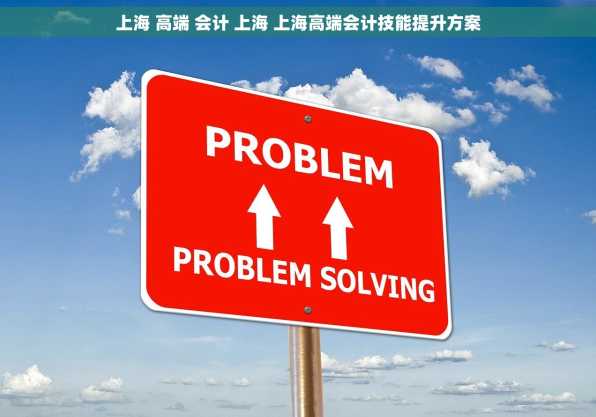 上海 高端 会计 上海 上海高端会计技能提升方案