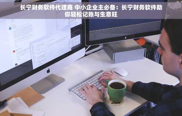 长宁财务软件代理商 中小企业主必备：长宁财务软件助你轻松记账与生意旺