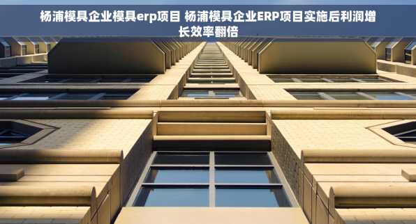 杨浦模具企业模具erp项目 杨浦模具企业ERP项目实施后利润增长效率翻倍