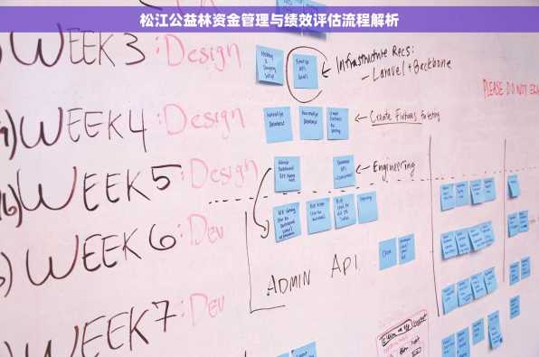 松江公益林资金管理与绩效评估流程解析