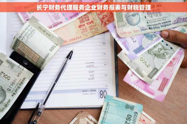 长宁财务代理服务企业财务报表与财税管理