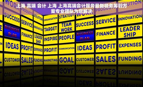 上海 高端 会计 上海 上海高端会计服务最新税务筹划方案专业团队为您解决