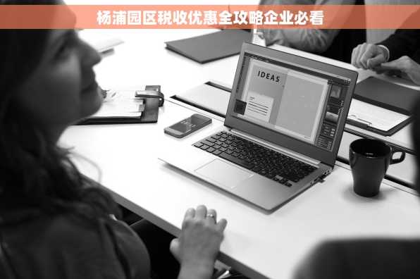 杨浦园区税收优惠全攻略企业必看