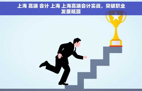 上海 高端 会计 上海 上海高端会计实战，突破职业发展瓶颈