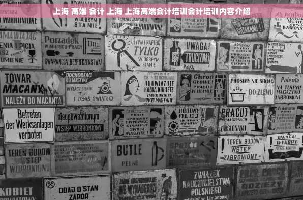 上海 高端 会计 上海 上海高端会计培训会计培训内容介绍
