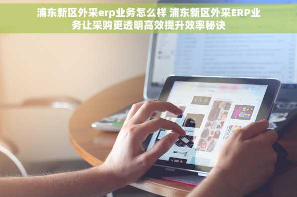 浦东新区外采erp业务怎么样 浦东新区外采ERP业务让采购更透明高效提升效率秘诀