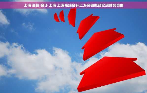 上海 高端 会计 上海 上海高端会计上海突破瓶颈实现财务自由