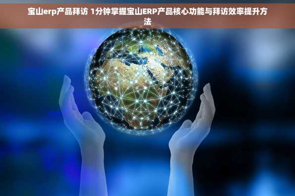 宝山erp产品拜访 1分钟掌握宝山ERP产品核心功能与拜访效率提升方法