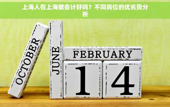 上海人在上海做会计好吗？不同岗位的优劣势分析