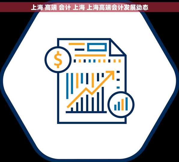 上海 高端 会计 上海 上海高端会计发展动态