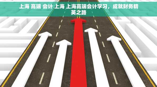 上海 高端 会计 上海 上海高端会计学习，成就财务精英之路