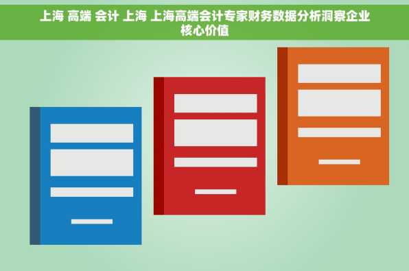 上海 高端 会计 上海 上海高端会计专家财务数据分析洞察企业核心价值