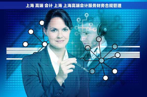 上海 高端 会计 上海 上海高端会计服务财务合规管理