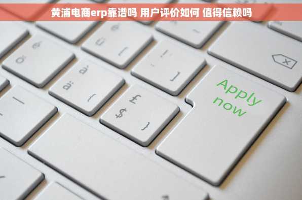 黄浦电商erp靠谱吗 用户评价如何 值得信赖吗