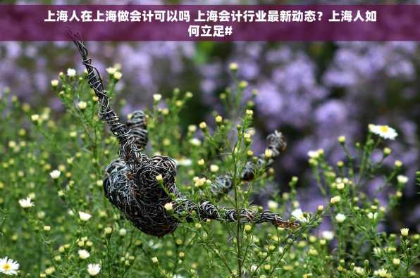 上海人在上海做会计可以吗 上海会计行业最新动态？上海人如何立足#