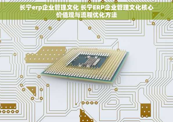 长宁erp企业管理文化 长宁ERP企业管理文化核心价值观与流程优化方法
