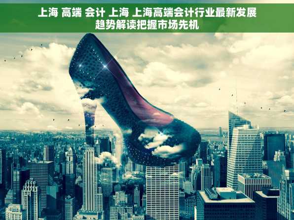 上海 高端 会计 上海 上海高端会计行业最新发展趋势解读把握市场先机