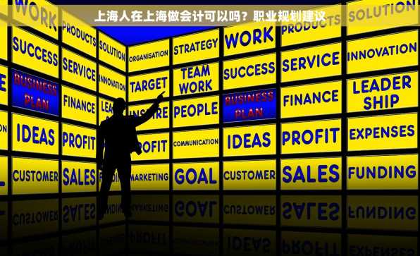 上海人在上海做会计可以吗？职业规划建议