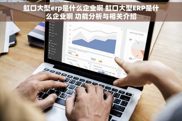 虹口大型erp是什么企业啊 虹口大型ERP是什么企业啊 功能分析与相关介绍