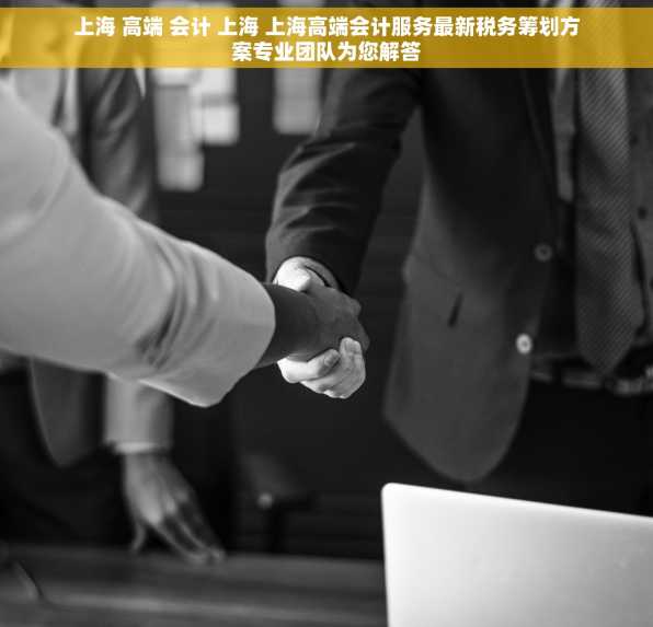 上海 高端 会计 上海 上海高端会计服务最新税务筹划方案专业团队为您解答