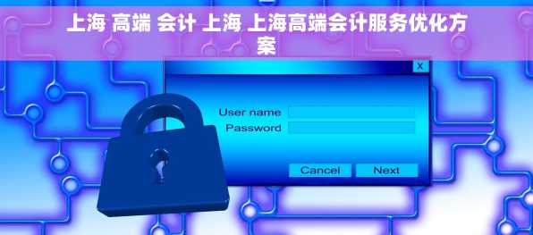 上海 高端 会计 上海 上海高端会计服务优化方案
