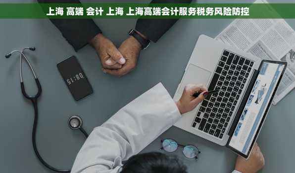上海 高端 会计 上海 上海高端会计服务税务风险防控