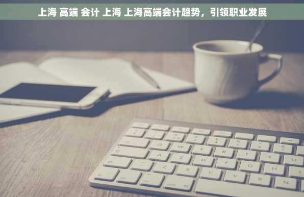 上海 高端 会计 上海 上海高端会计趋势，引领职业发展