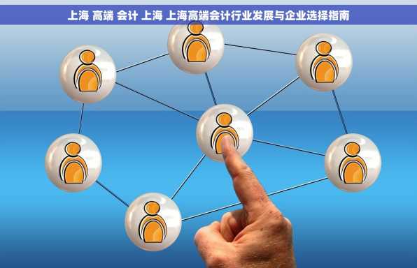 上海 高端 会计 上海 上海高端会计行业发展与企业选择指南