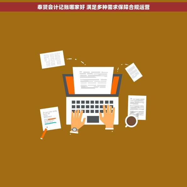 奉贤会计记账哪家好 满足多种需求保障合规运营