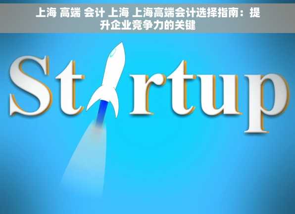 上海 高端 会计 上海 上海高端会计选择指南：提升企业竞争力的关键