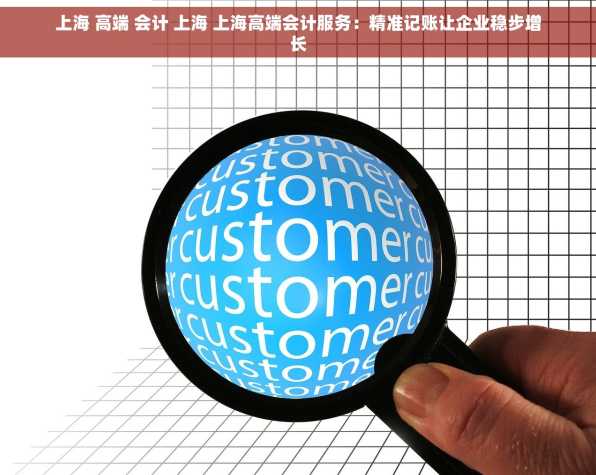 上海 高端 会计 上海 上海高端会计服务：精准记账让企业稳步增长